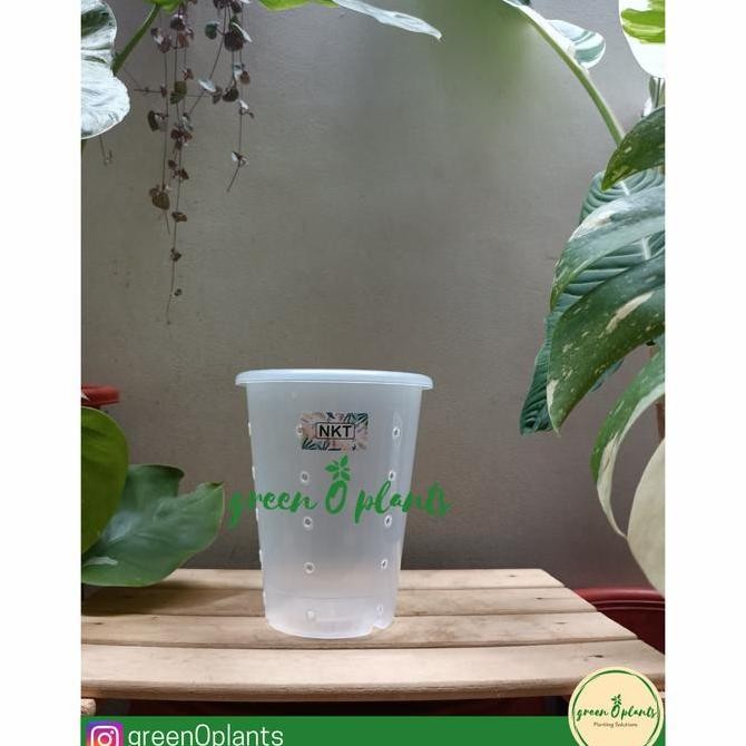 Pot Nkt 15 Bening Berlubang