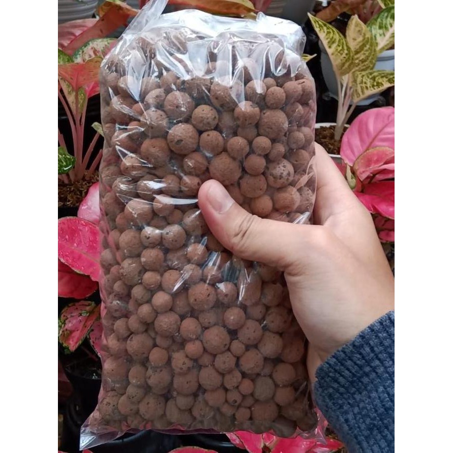 Media Tanam Hidroton