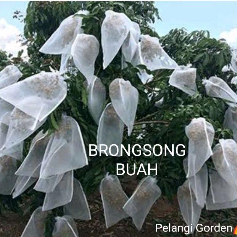 Promo Cod Brongsong Buah Kelengkeng Besar 50X100 Pembungkus Buah Blongsong Kelengkeng Jaring Buah ..
