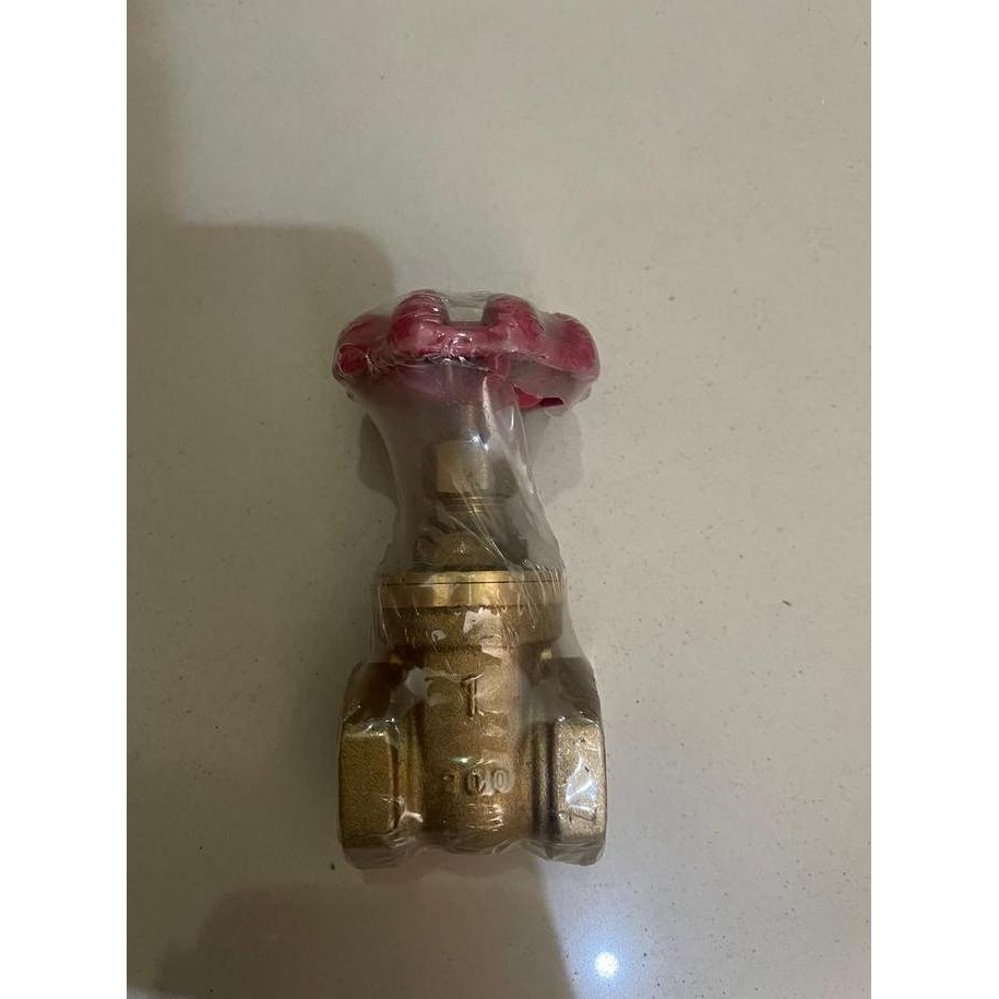 :::::::] gate valve onda