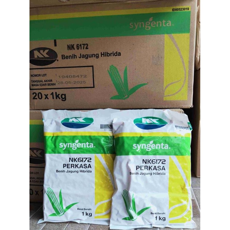 [Paket Grosir 1 Dus isi 20 pcs] Benih Jagung Perkasa 1 KG Benih Jagung Hibrida NK 6172 Perkasa 1kg B