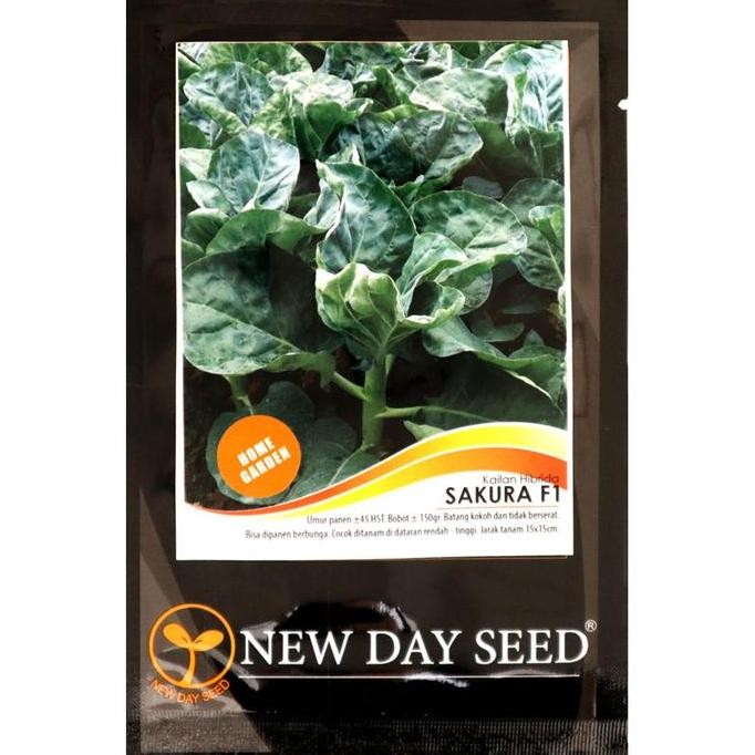Kualitas terbaik] Benih Kailan - Sakura F1 (New Day Seed)