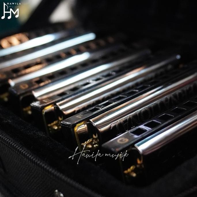Harmonika Set 7 Key A to G Hohner Bluesband Harmonika Set With Case EIG
