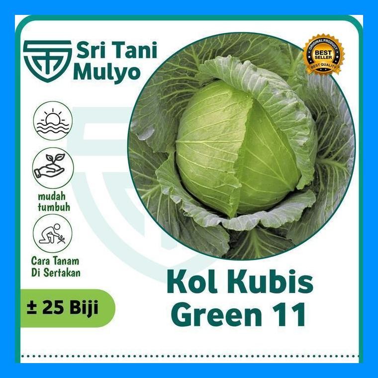 [Cod] - 25 Biji - Benih Sayur Sayuran Kol/Kubis Kolbis (Mudah Tumbuh) Bibit / Benih Sayur
