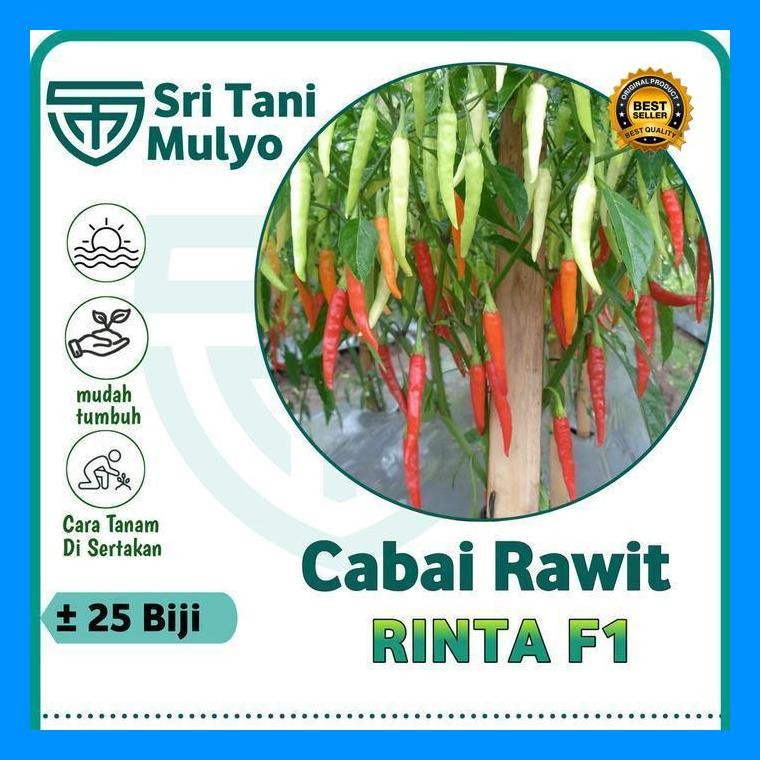 [Cod] - 20 Biji - Benih Cabai Rawit Annum Hibrida Rinta F1 - Bintang Asia Bibit Sayuran Benih Sayura