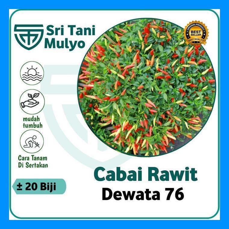 [Cod] - 20 Biji - Benih Cabe Rawit Setan Hibrida F1 Tanaman Sayur Cabe Hias Cabe Unik. - Bibit Sayur