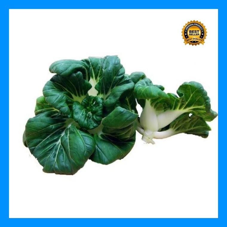 [Cod] - 50 Biji - Benih Pakchoy Mini Nai Bai ( Toy Coy ) Sawi Nai Bai