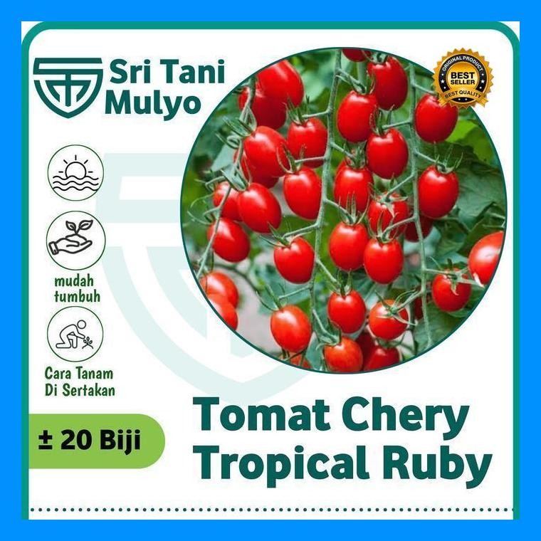 [Cod] - 20 Biji Benih Tomat Chery Merah Tropical Ruby - Bibit Tanaman Sayur Sayuran Tomat Cery Ceri 