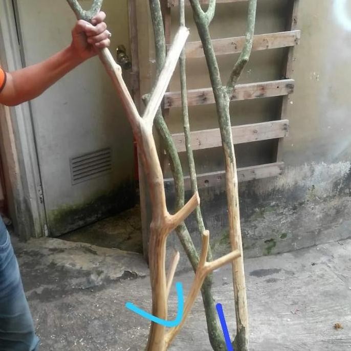 ranting kayu standing pot gantung dekorasi