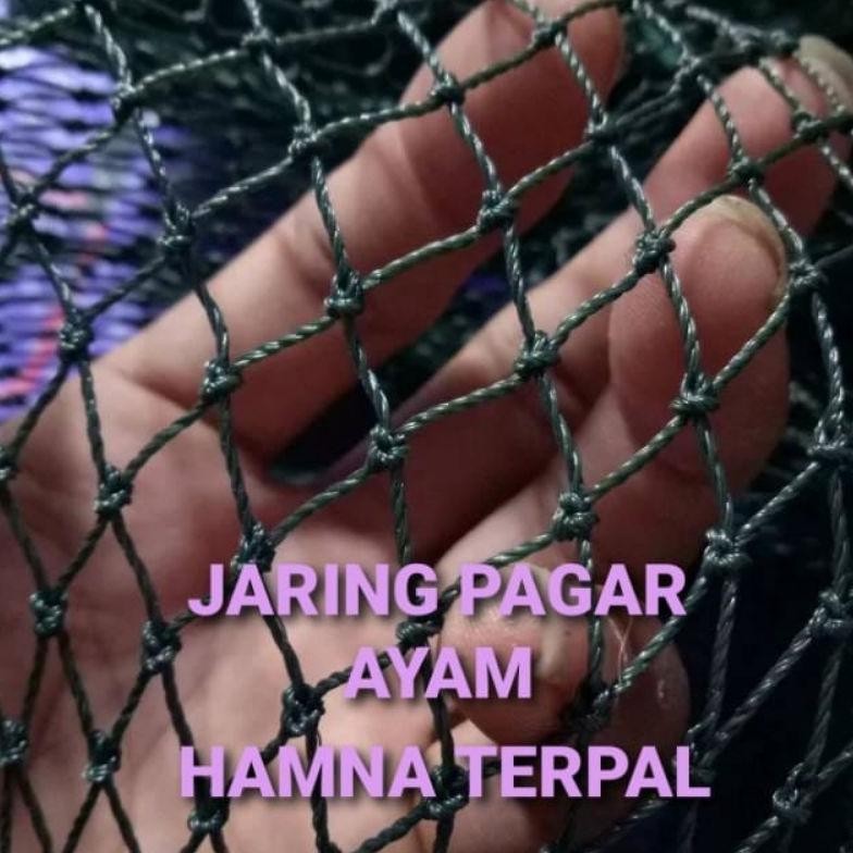 SENHA jaring pagar ayam 2 x 10 meter  / jaring kandang bebek / jaring ayam / jaring TEBAL