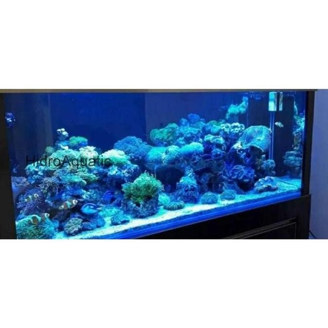 ., LAMPU AQUARIUM 60CM WARNA BIRU / LAMPU CELUP / LAMPU LED AQUARIUM /