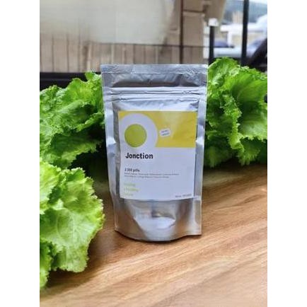 TERMURAH - 1000 butir benih selada RZ jonction / rz junction / benih bibit selada keriting hijau imp