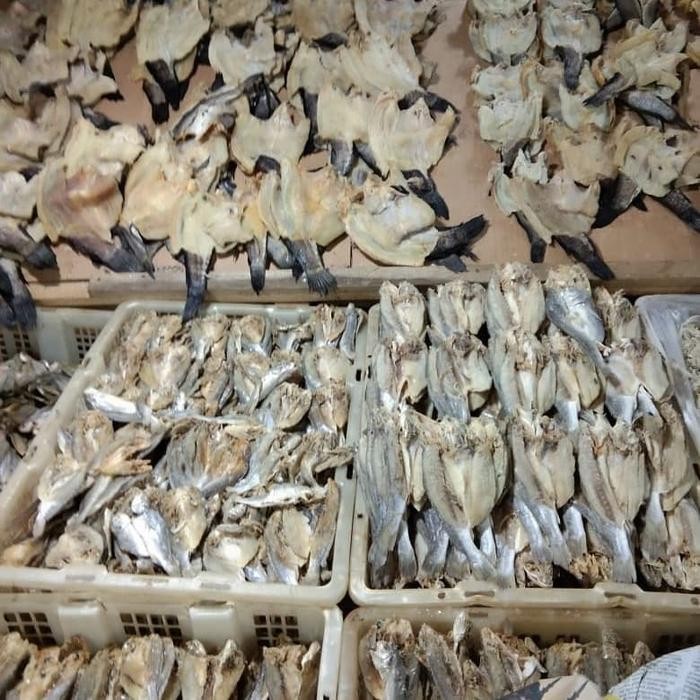 iwak karing haruan atau garih haruan /gabus