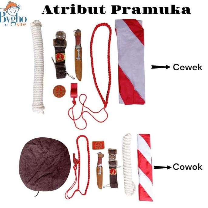 DS47 >> Atribut Pramuka SD Paket Komplit Peralatan Pramuka Cewek Cowok Lengkap