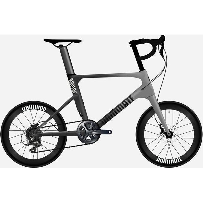 Sepeda DOMINATE RAPIDE Elite 2022