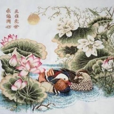 paket kristik bebek mandarin duck