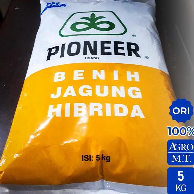 Benih Jagung Hibrida P32 Singa (5KG) - PIONEER AUL