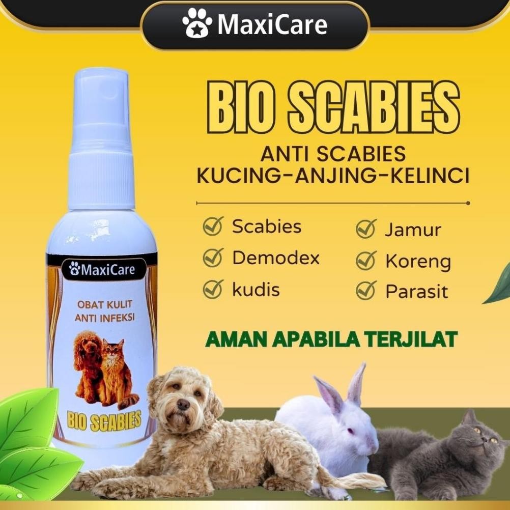 OBAT SCABIES ANTI SCABIES OBAT JAMUR AMPUH UNTUK KUCING ANJING OBAT KUCING JAMURAN BIO SCABIES