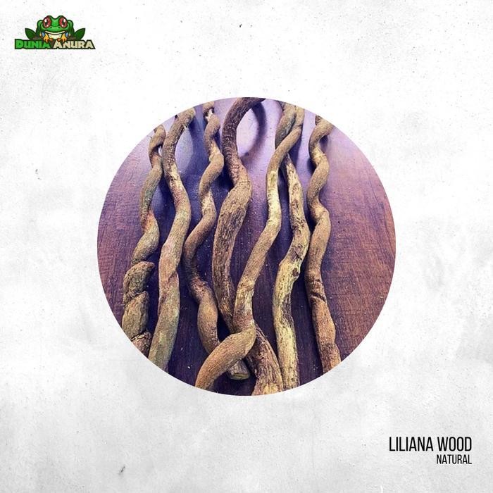 kayu liliana natural hardscape terrarium vivarium