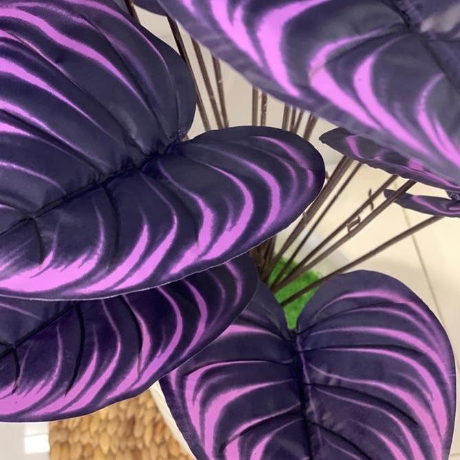 DI16 >> DAUN KELADI UBI UNGU ARTIFICIAL 24 DAUN TINGGI 90cm TANAMAN HIAS DEKORASI RUANG KELUARGA POJ