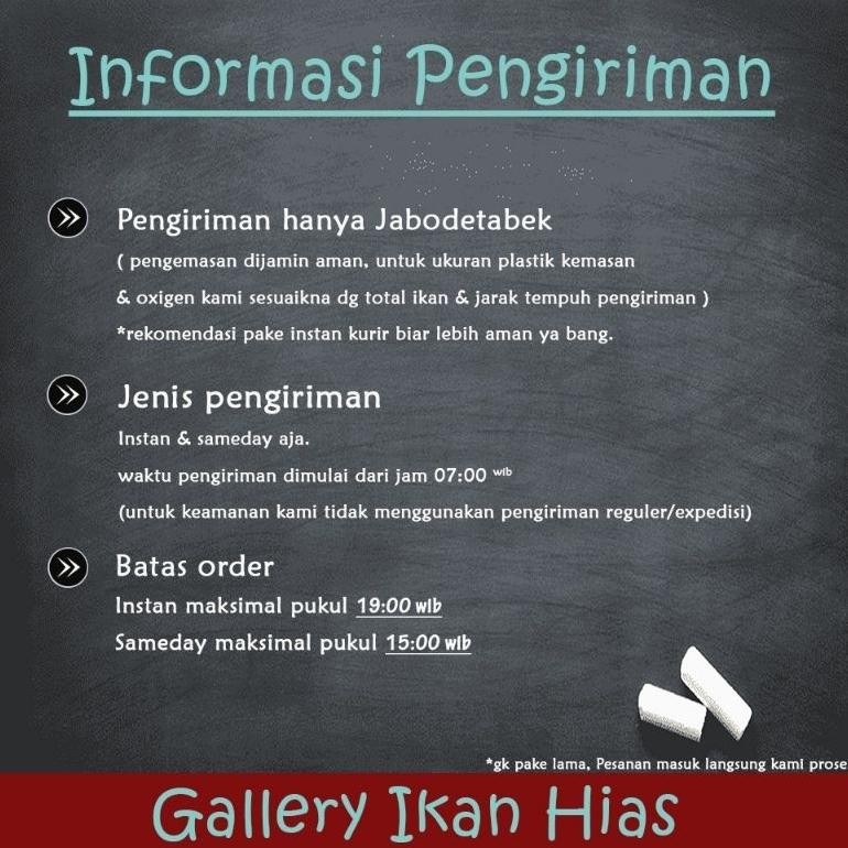 Cod Gih - Paket 50Ekor Ikan Terapi Kaki Nilem Lemon Kuning Trapi Terdekat Bogor Sd-46