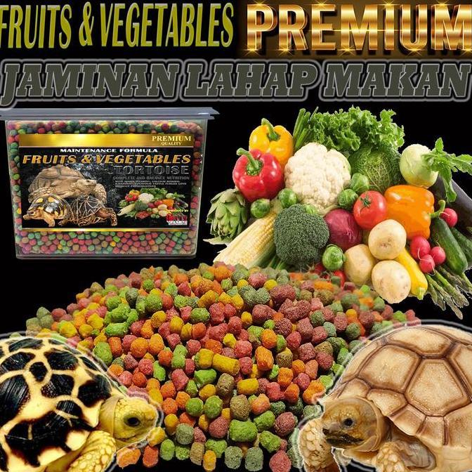Deepanim- Makanan Sayur Buah Kura Kura Sulcata Hermani Aldabra Tortoise