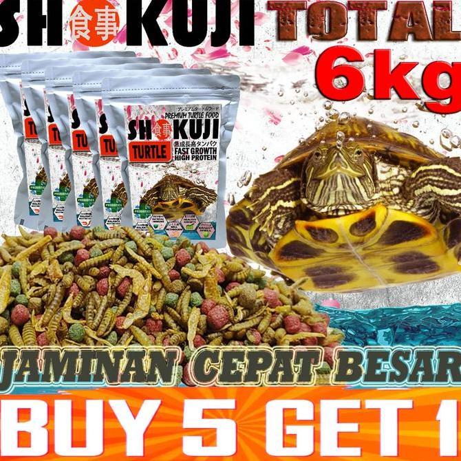 Deepanim- Shokuji Pakan Kura-Kura Air Brazil Cst Res Piput Pelet Makanan Turtles