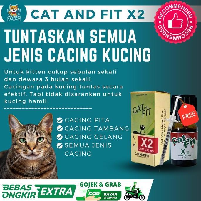 Gato - Obat Cacing Kucing Cacingan Cat And Fit X2 Cair Ampuh