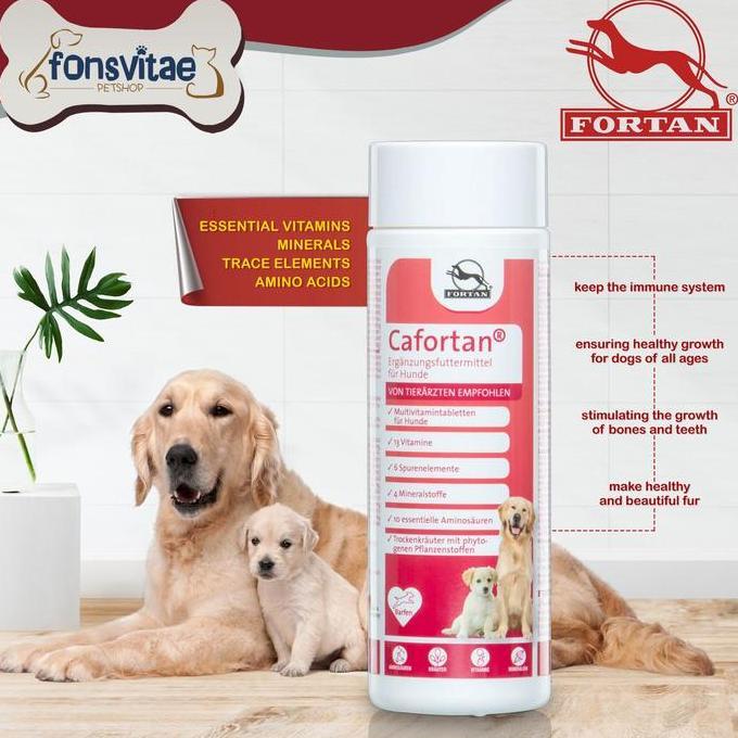 FORTAN CAFORTAN 300GR - MULTIVITAMIN ANJING