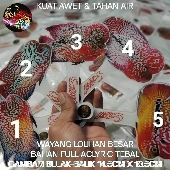WAYANG LOUHAN WAYANGAN UNTULAN IKAN LOUHAN ACLYRIC TEBAL BESAR