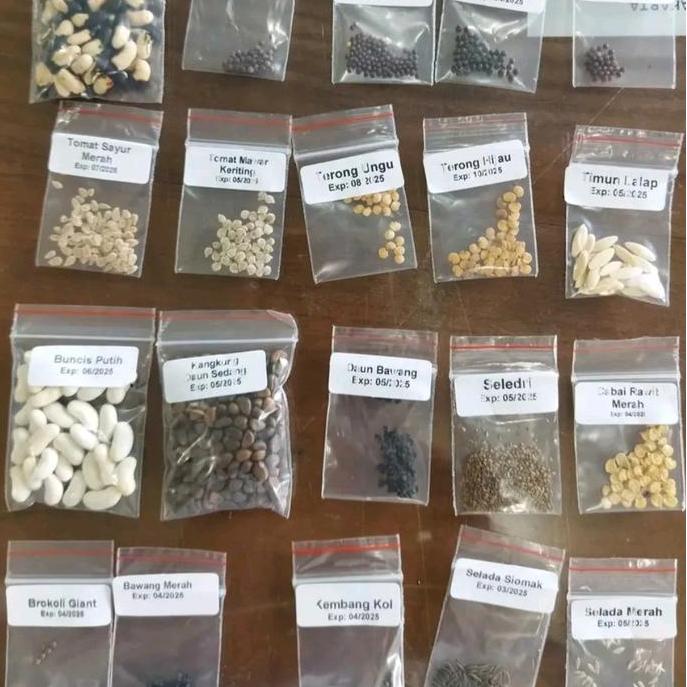 paket 15 jenis bibit sayur siap tanam anti gagal