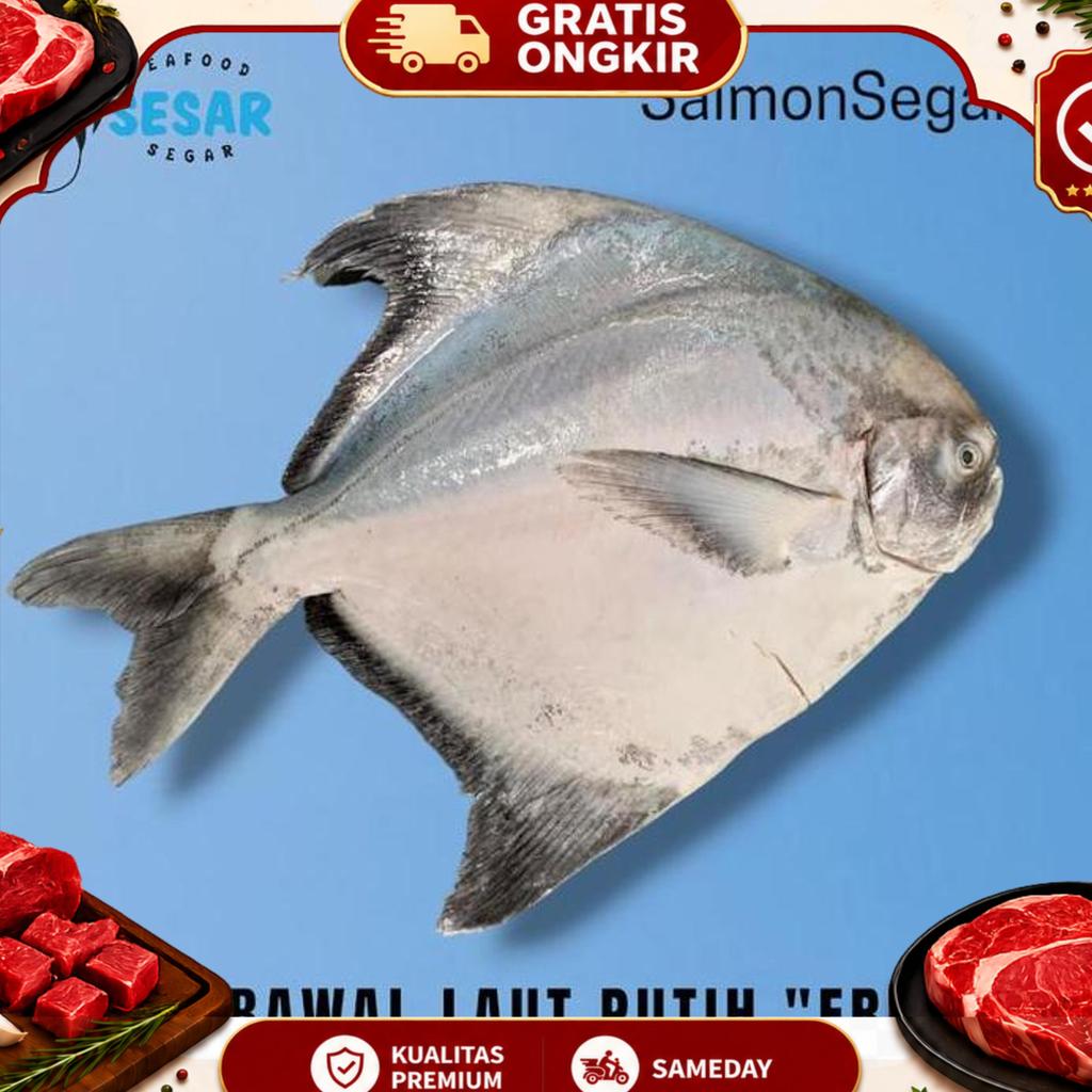 Ikan Bawal Laut Putih 1 Kg - Bawal Putih Segar - Seafood