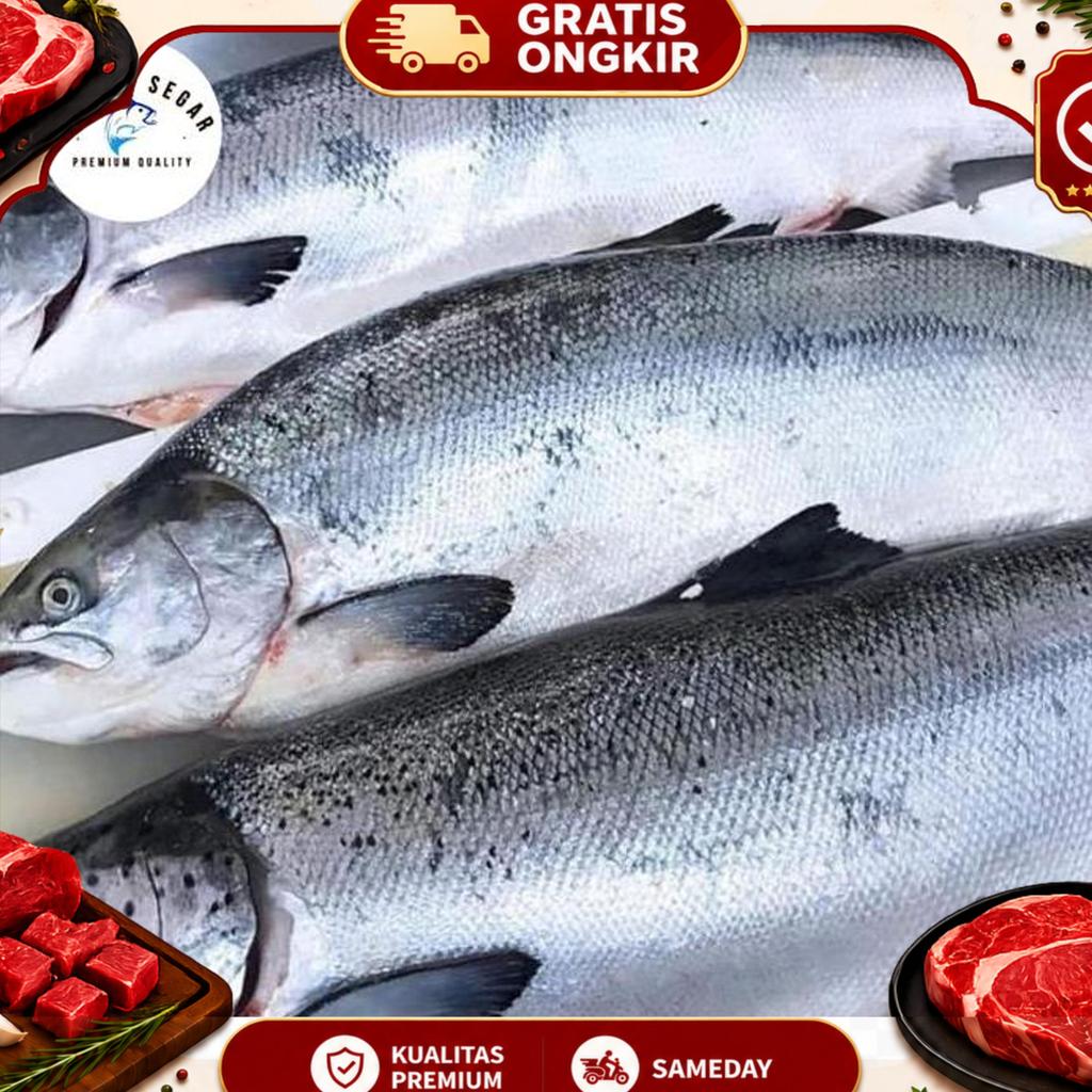 Salmon Whole Fresh - Ikan Salmon Norway