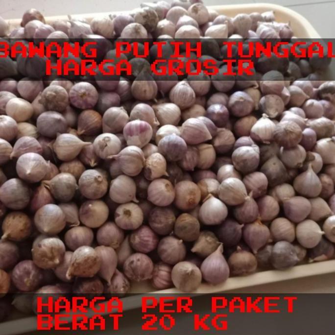 BAWANG PUTIH TUNGGAL-BAWANG LANANG-BAWANG LANANG TUNGGAL