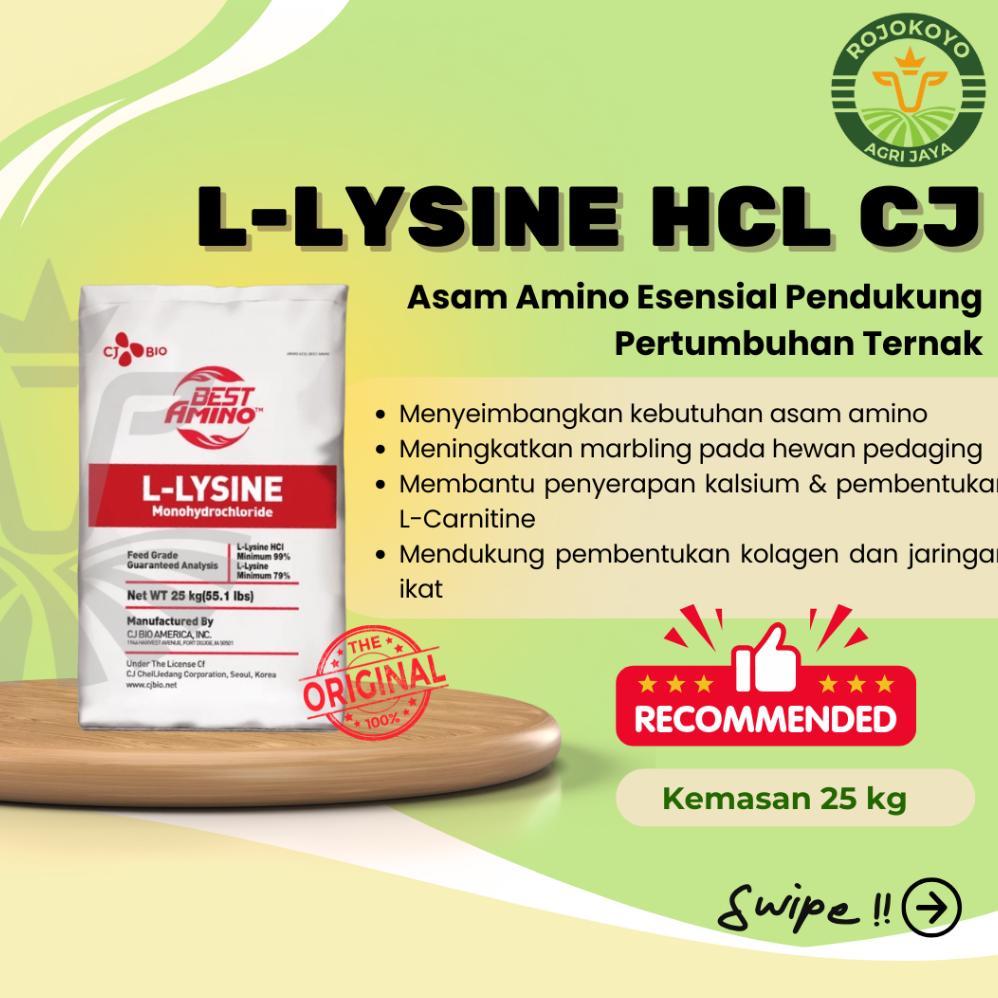 Ready Stok L-Lysine 25 kg - Suplemen Asam Amino untuk Penambah Berat Badan Hewan Ternak