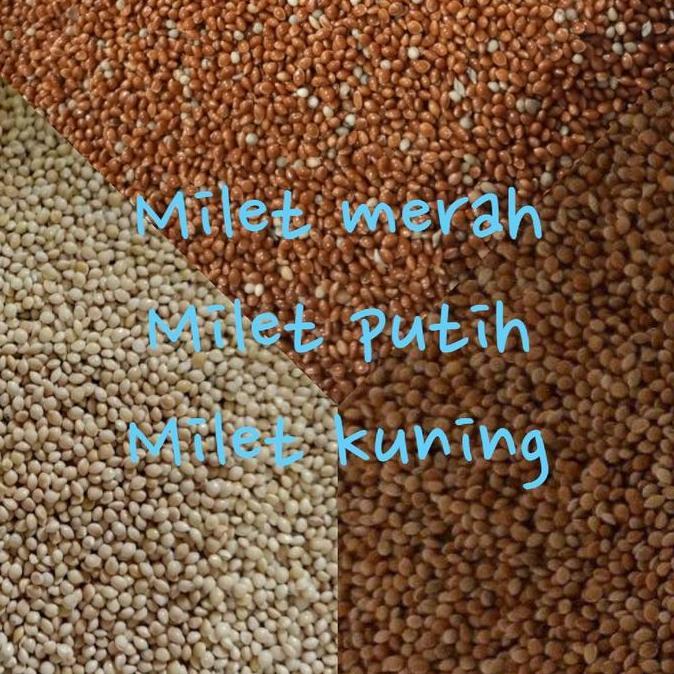 MILET MERAH MILET PUTIH MILET KUNING 1KG PAKAN BURUNG KENARI LOVEBIRD PARKIT PERKUTUT DLL