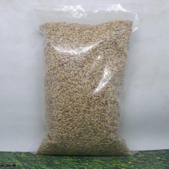 GABAH MERAH 1 KG PAKAN MAKANAN BURUNG LOVEBIRD PERKUTUT TEKUKUR MERPAT