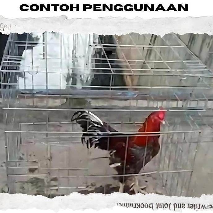 Kandang Ayam Umbaran Galvanis Kuat Tahan Karat