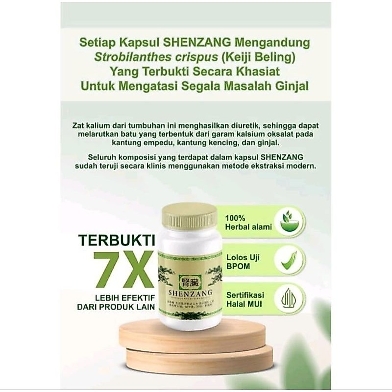 Shenzang Asli Original Obat Herbal Atasi Batu Ginjal Dan Saluran Kemih