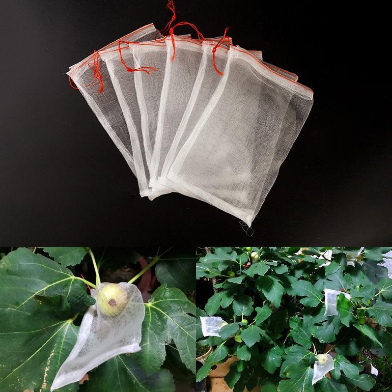 Fruit Cover/Pembungkus Buah/Fruit Cover Anti Serangga/Kantong Jaring Pembungkus/Buah Anggur cutenery