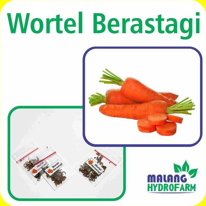 Benih Wortel Berastagi Unggulan Berkualitas Biji Bibit Repack Desa Brastagi Buah Gundaling Manis Sop