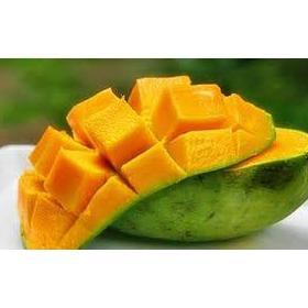 New Pupuk Perangsang Buah Mangga, Booster Buah Mangga Agar Cepat Berbuah Lebat