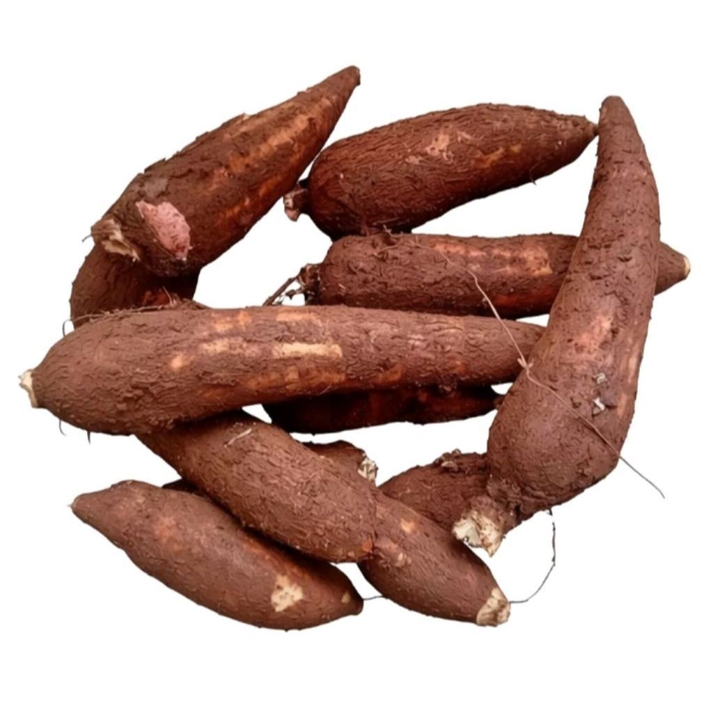 Promo extra Ubi Singkong pulen 1kg dan 2 Kg Cabut dadakan Tidak Pahit bisa untuk singkong keju ketel
