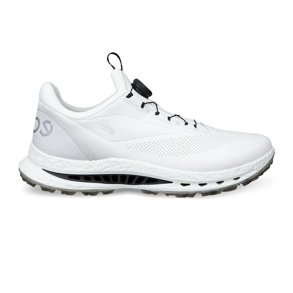 Sepatu Golf Ecco Biom C5 BOA Original