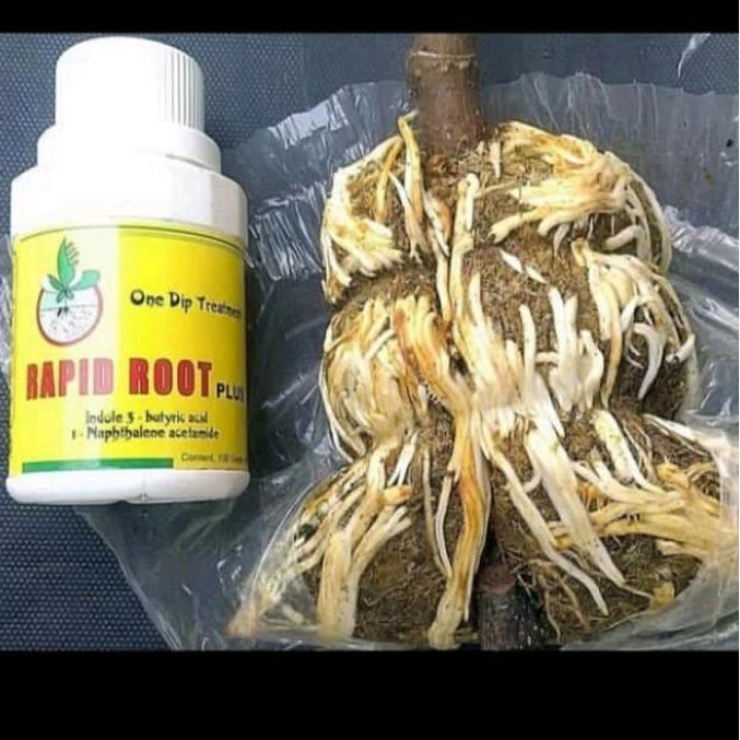 Nusamed- Rapid Root 100 Gram