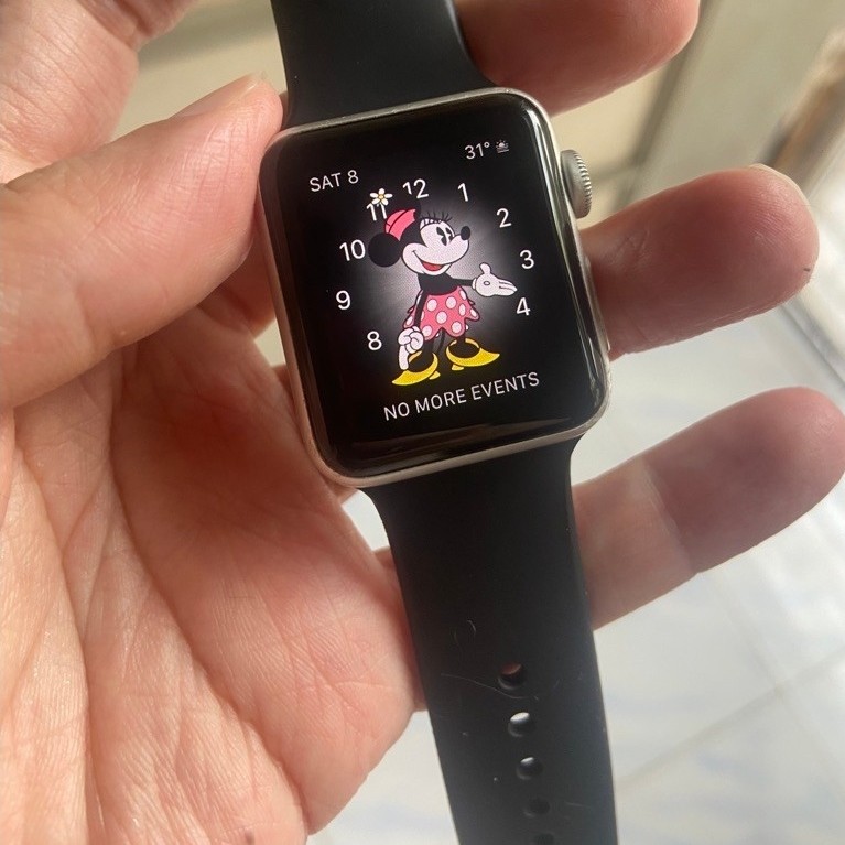 Apple Watch Series 3 GPS + Cell 38mm iWatch