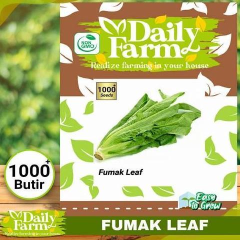 Promo BIJI FUMAK - BIBIT FUMAK - BENIH FUMAK LEAF - MAKANAN KURA DARAT Diskon