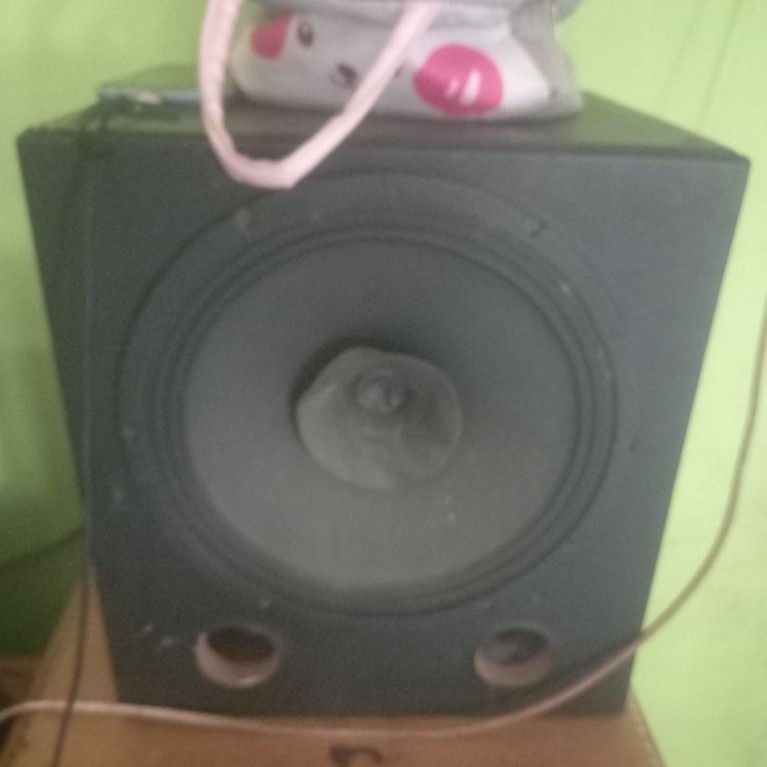 Bok speaker 12in