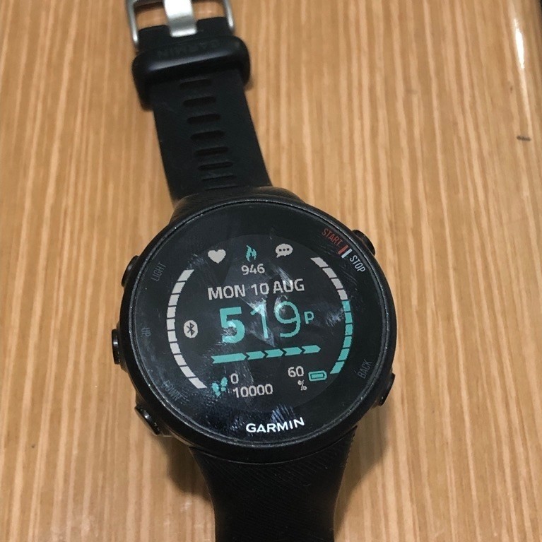 Garmin Forerunner 45