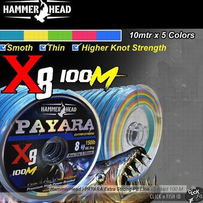 TERMURAH - Senar Hammerhead | PAYARA X8 Braid 100M Multicolor PE#2.5 50lb/0.28mm